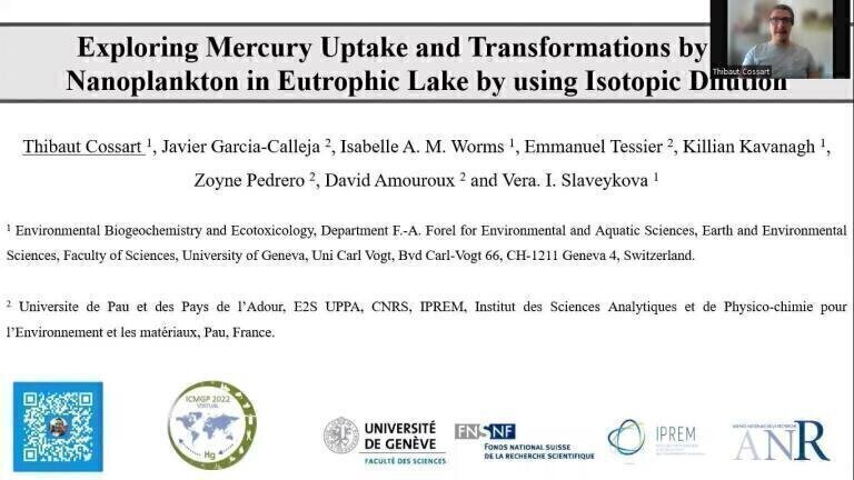 Exploring Mercury Uptake and Transformations by Pico-Nanoplankton in Eutrophic Lake by using Isotopic Dilution